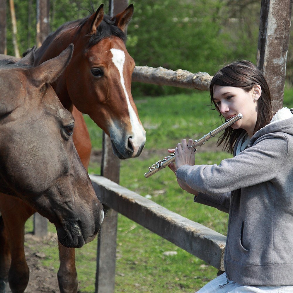 Мы вновь ехали на лошадях и любовались. Лошадь слушает. Девочки- конники. Люди которые любят лошадь. Лошадь слушает музыку.