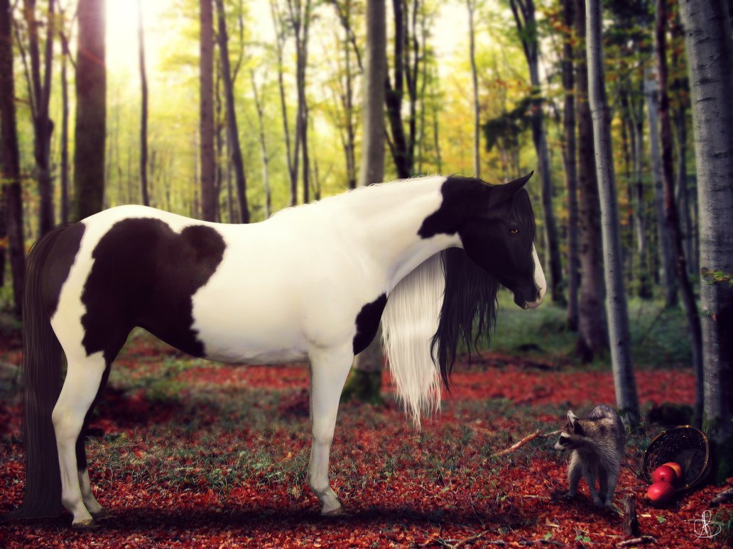 Сайт horse. Енот на лошади. Жеребец и енот. Лошадь с енотом фото. Фото лошади и енотов.