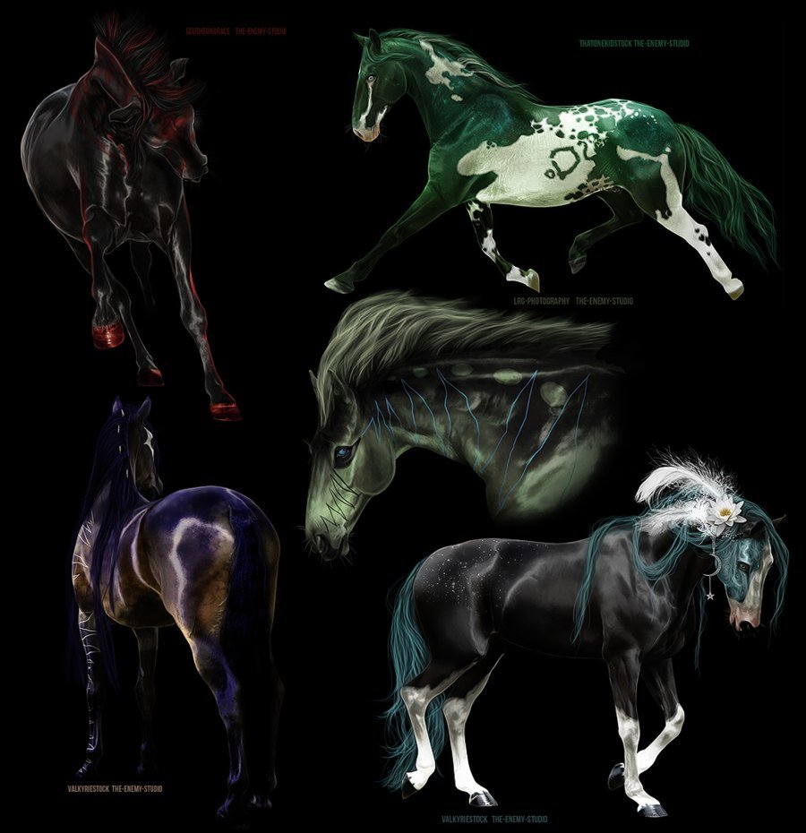 Легендарные лошади. Мифические лошади. Фантастические лошади. Окрасы мифических лошадей. Фото самых легендарных лошадей.