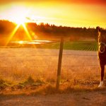   Horse and sun