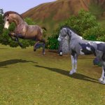   Horses in the sims 3
