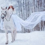 Просмотр фото «Девочка с каштановыми волосами, сидящая на белом коне под падающим снегом»