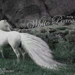 Просмотр фото «Белоснежная лошадь-павлин»