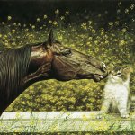 Просмотр фото «Лошадь и кот»