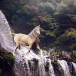 Просмотр фото «Арт лошади с львиным хвостом в водопаде»