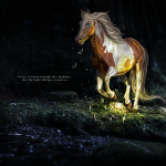 Просмотр фото «Арт пегой лошади в лесу вечером»