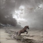 Просмотр фото «Лошадь и море.»