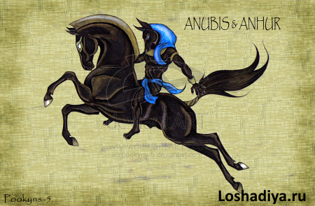 Anubis and Anhur