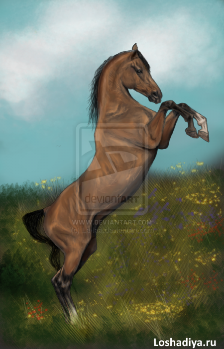 Скачущая лошадь рисунок