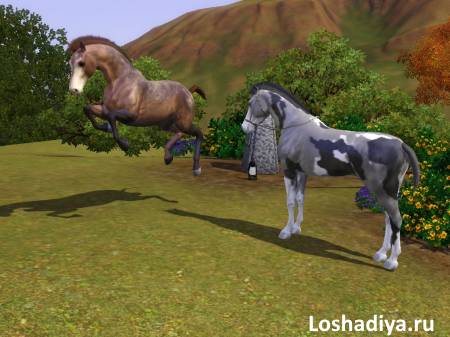 Horses in the sims 3