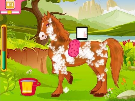 Horse Grooming Salon.   android