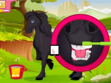 Horse Grooming Salon.   android