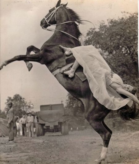 Женщина верхом на лошади исполняет трюк "Свеча с обрывом"