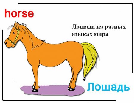 Слово "лошадь" на разных языках