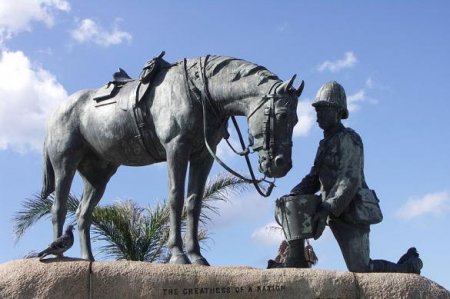 Памятники лошадям