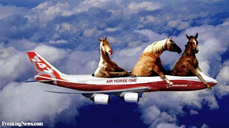 Рисунок летящих в самолете лошадей
