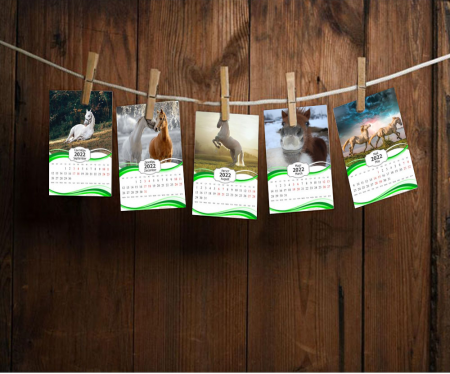 Календари с лошадьми на 2022 год  прикреплённые к верёвке деревянными прищепками